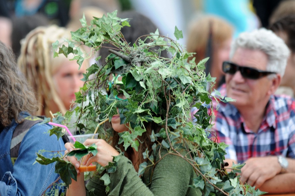 ../Images/Vrijdag Castlefest 2015 040.jpg